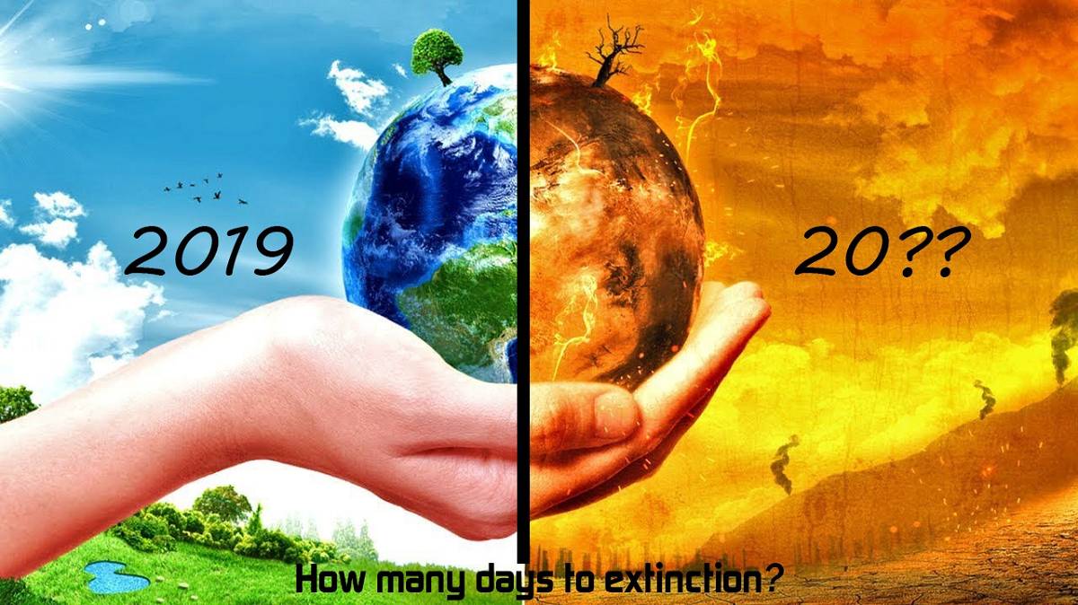 Environmental Collapse Split image with the left half showing the environment in 2019 and the right half showing diaster in the future